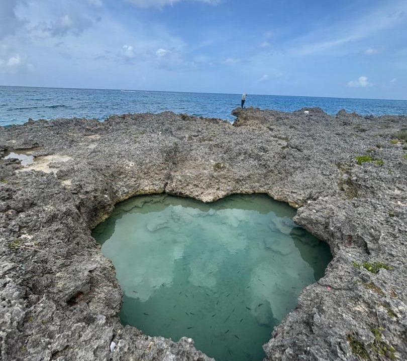 Photo of Others in Dominicus