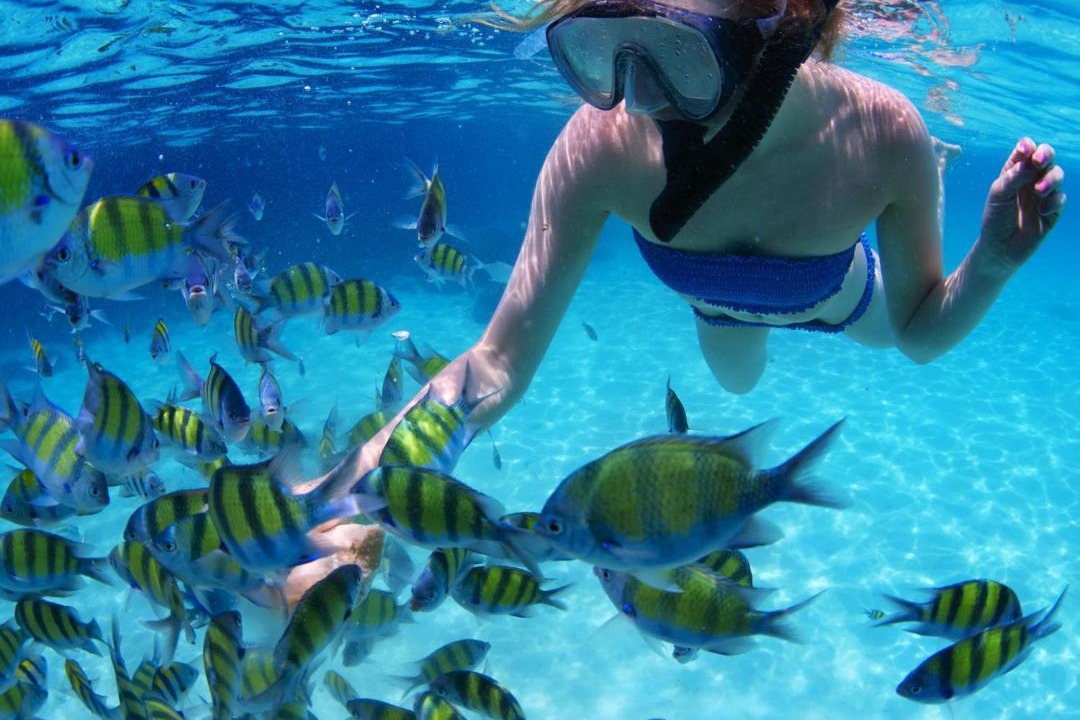 Photo of Others in Puerto Bahia