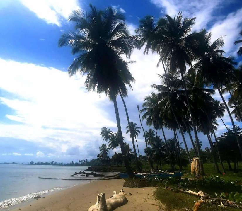 Photo of Others in Puerto Bahia