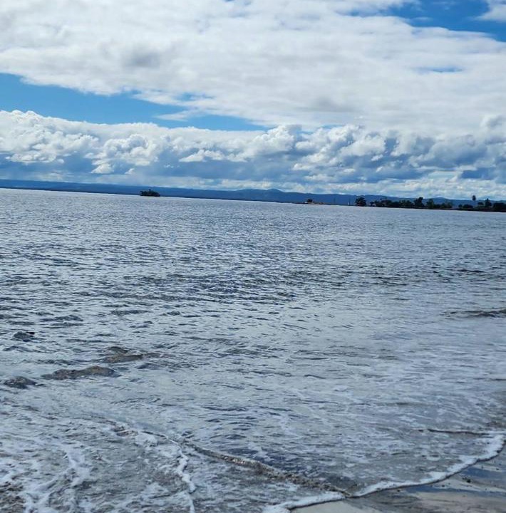 Photo of Others in Puerto Bahia