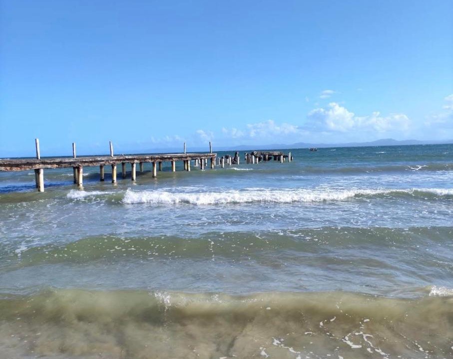 Photo of Others in Puerto Bahia