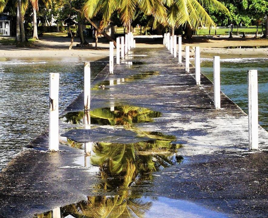 Photo of Others in Puerto Bahia