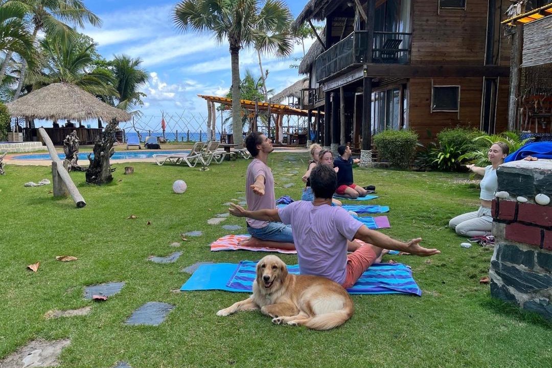 Photo of Others in Cabarete