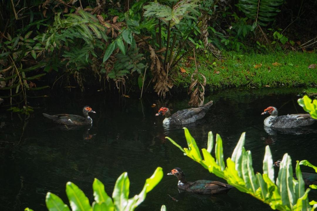 Photo of Others in Las Terrenas