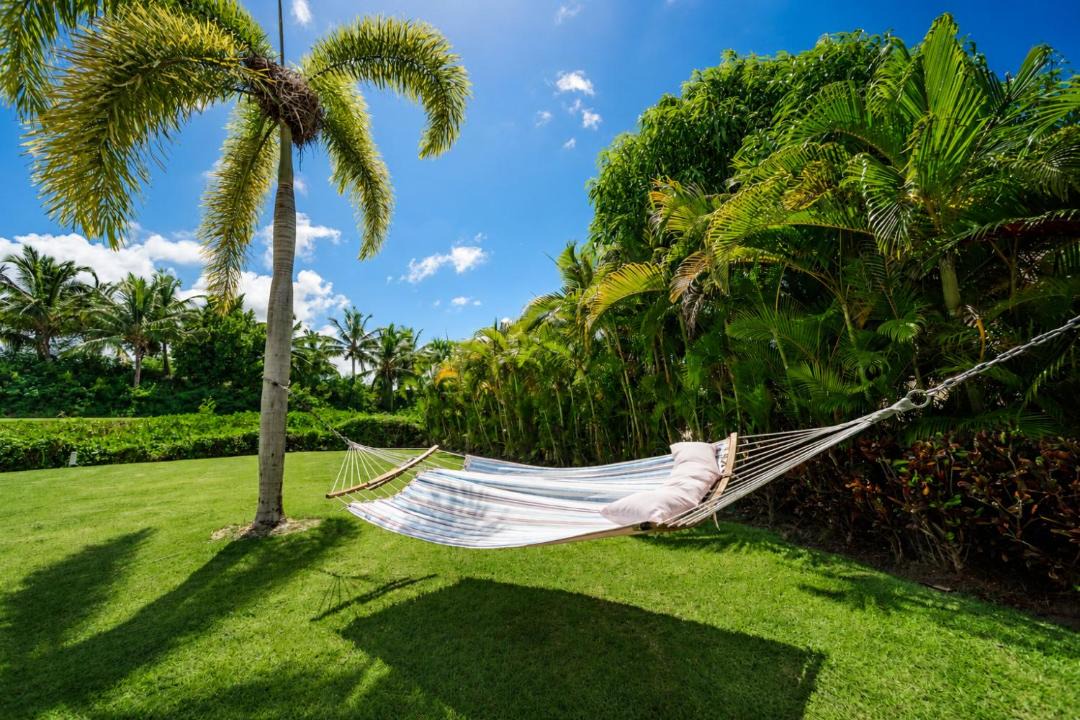 Photo of Others in Bavaro