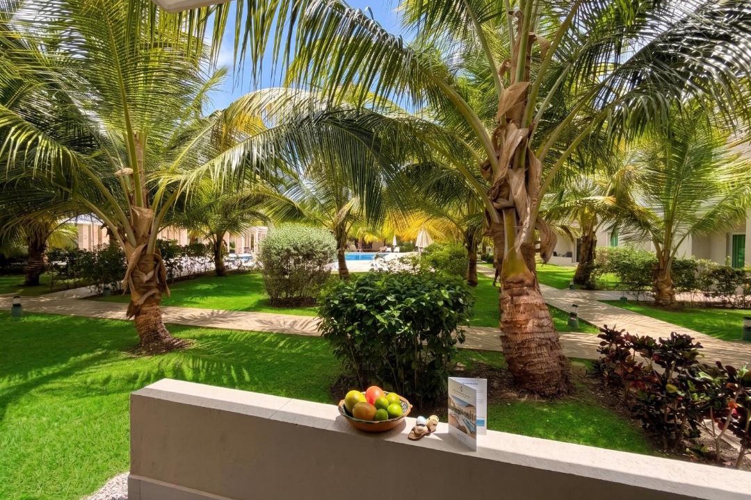 Photo of Others in Punta Cana