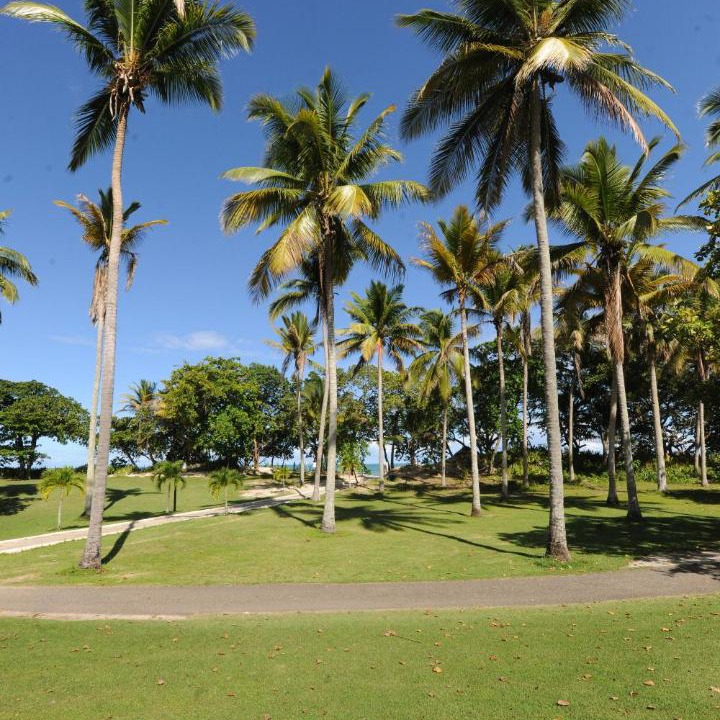 Photo of Others in Puerto Plata