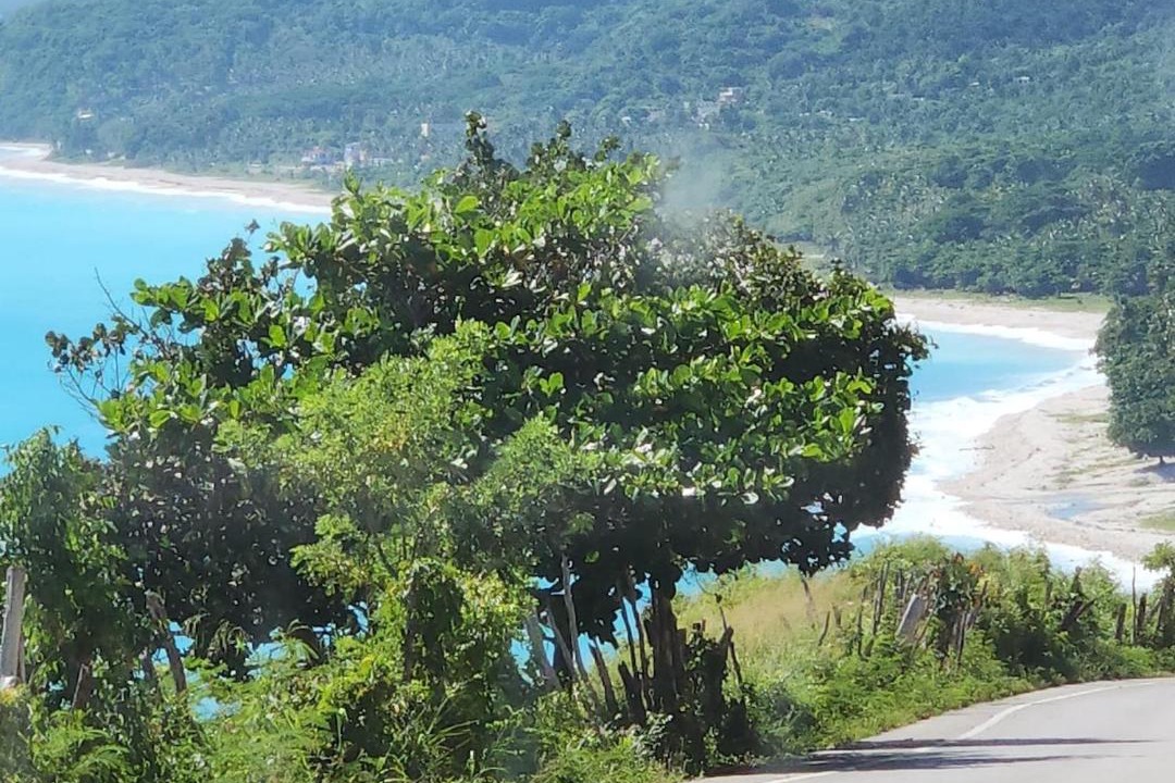 Photo of Others in Paraiso