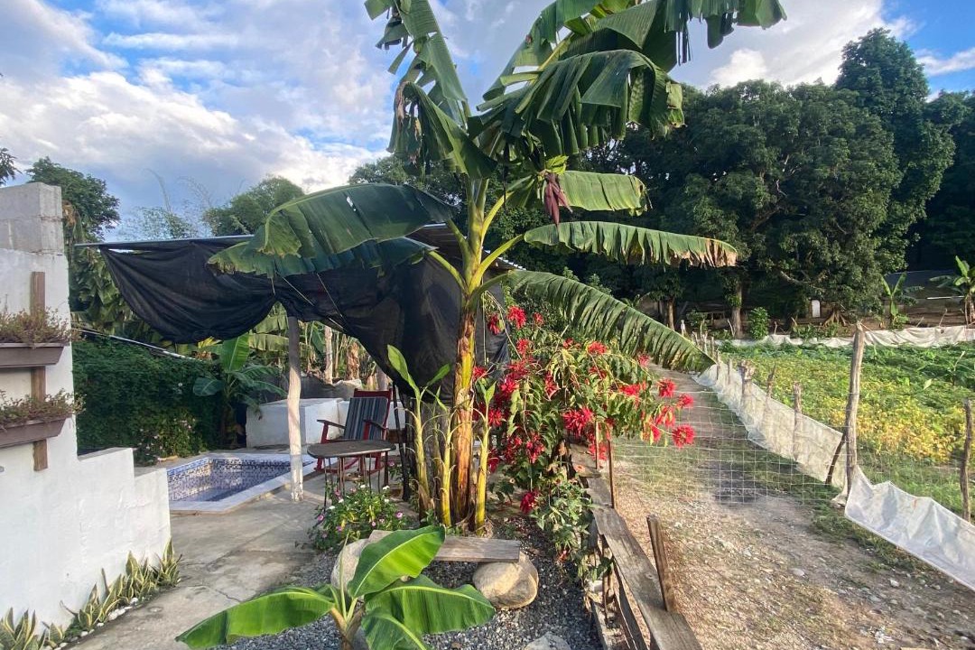 Photo of Others in Jarabacoa