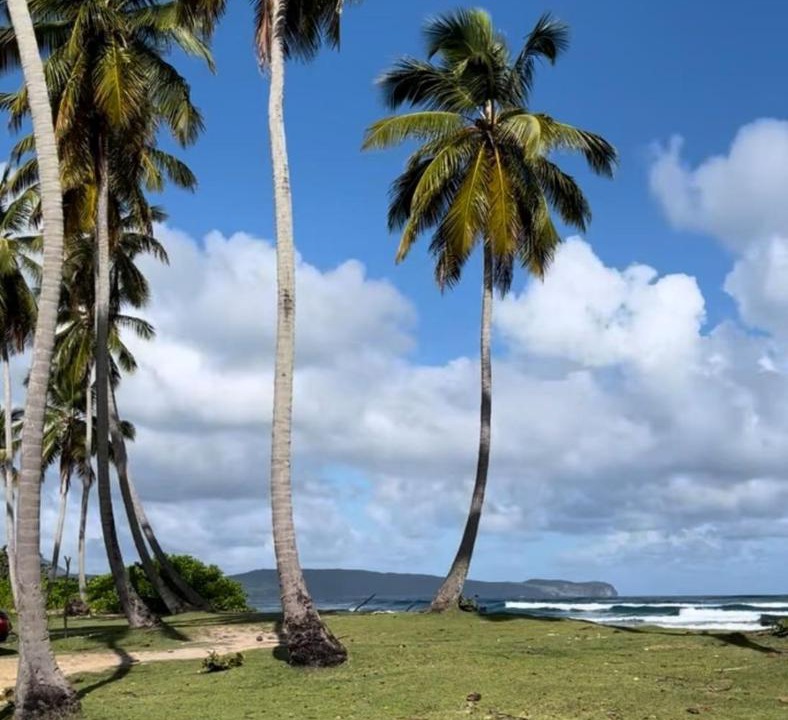 Photo of Others in Las Galeras
