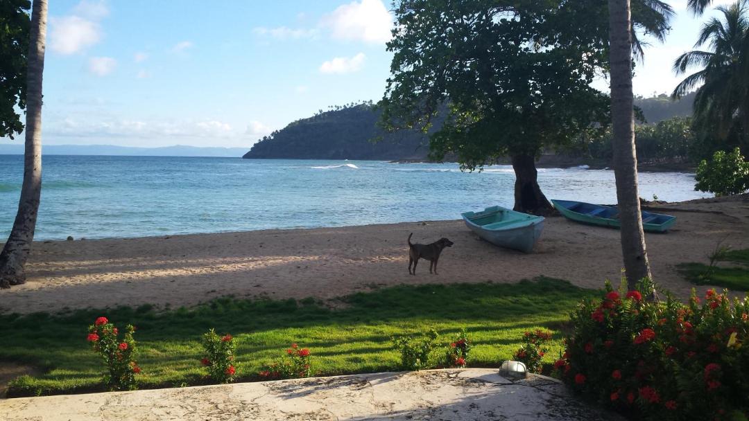 Photo of Others in Samana