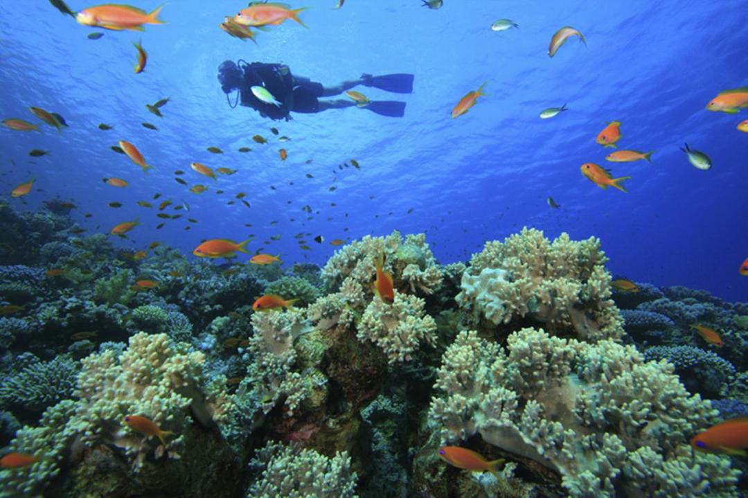 Photo of Others in Las Terrenas