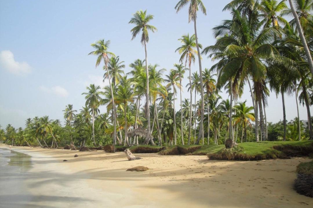Photo of Others in Las Terrenas