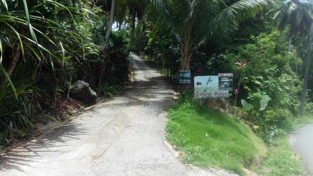 Photo of Others in Las Terrenas