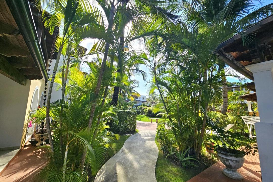 Photo of Others in Dominicus
