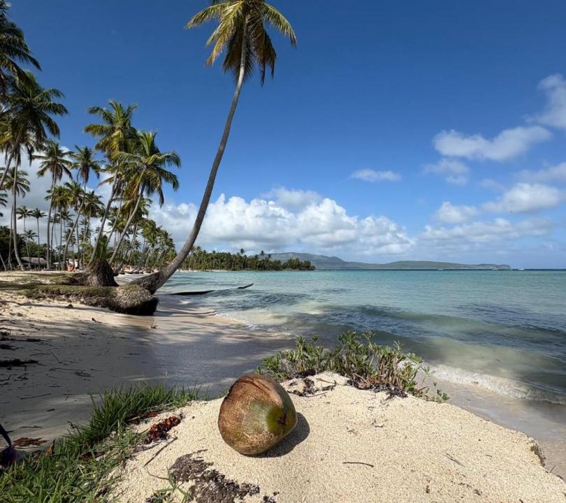 Photo of Others in Las Galeras