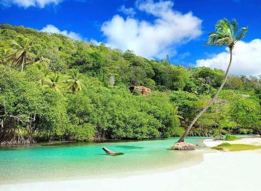 Photo of Others in Las Galeras
