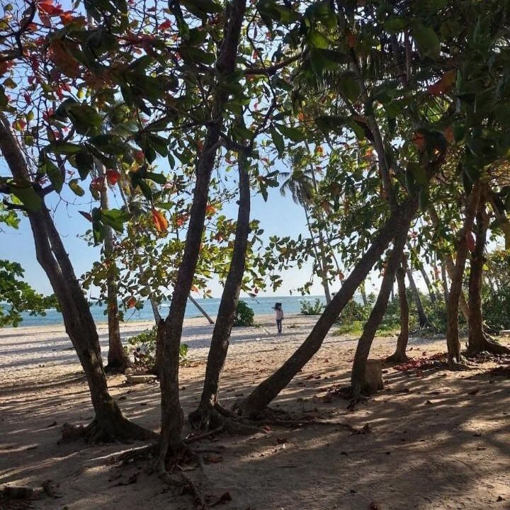 Photo of Others in Villas Del Mar