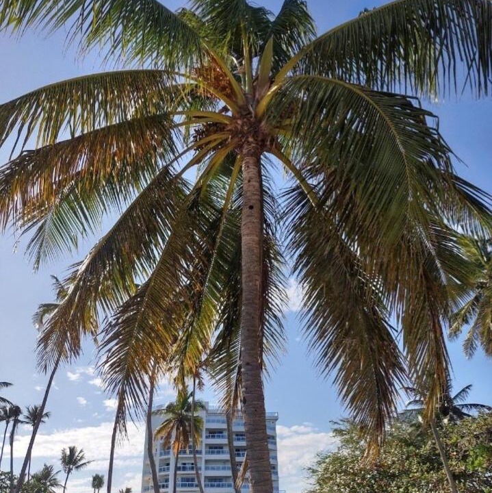 Photo of Others in Villas Del Mar