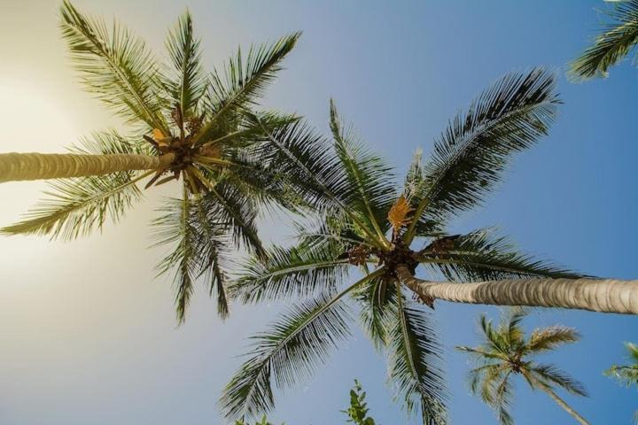 Photo of Others in Villas Del Mar