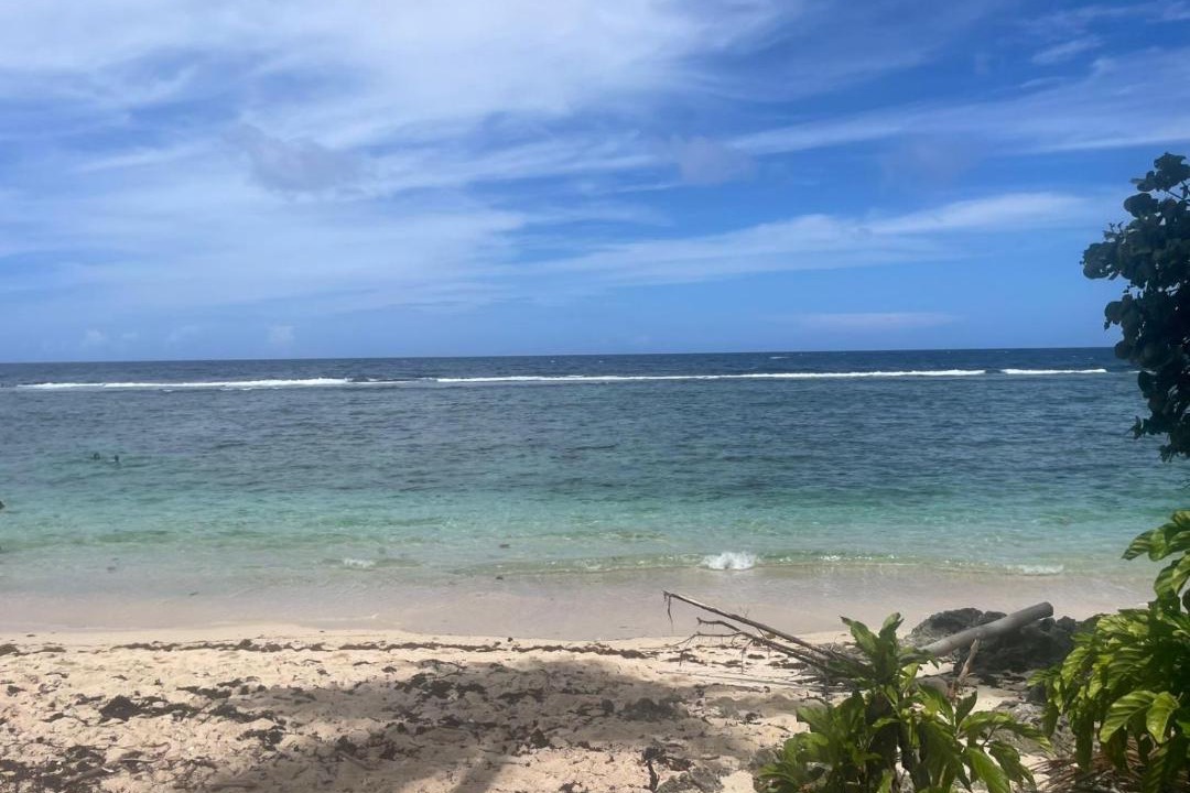 Photo of Others in Las Galeras