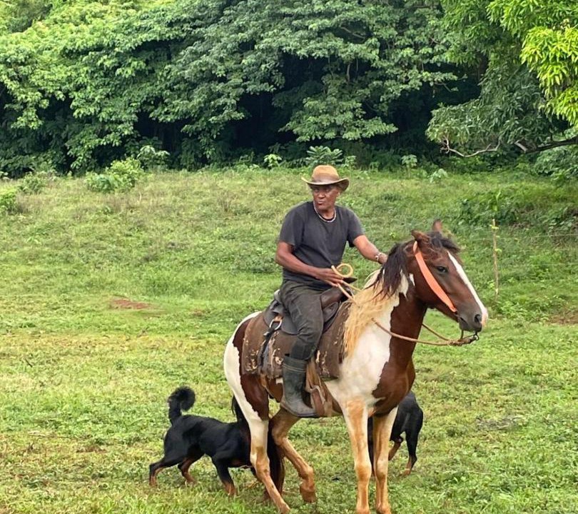 Photo of Others in Las Galeras