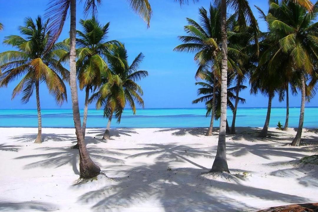 Photo of Others in Punta Cana