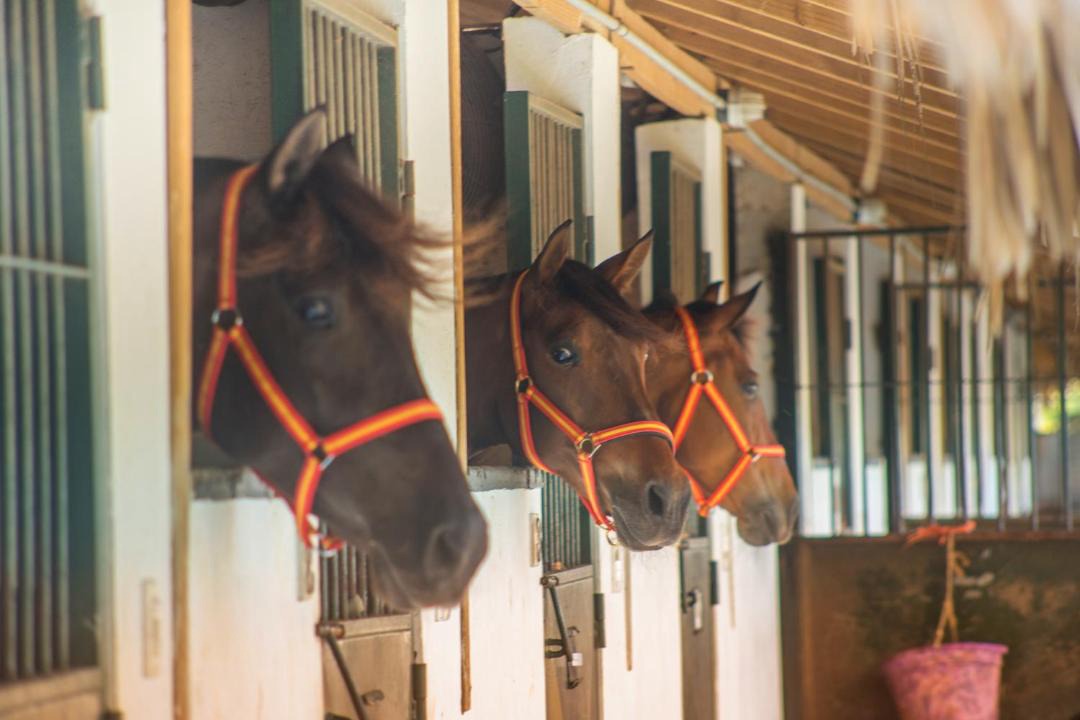 Photo of Others in Villas Del Mar