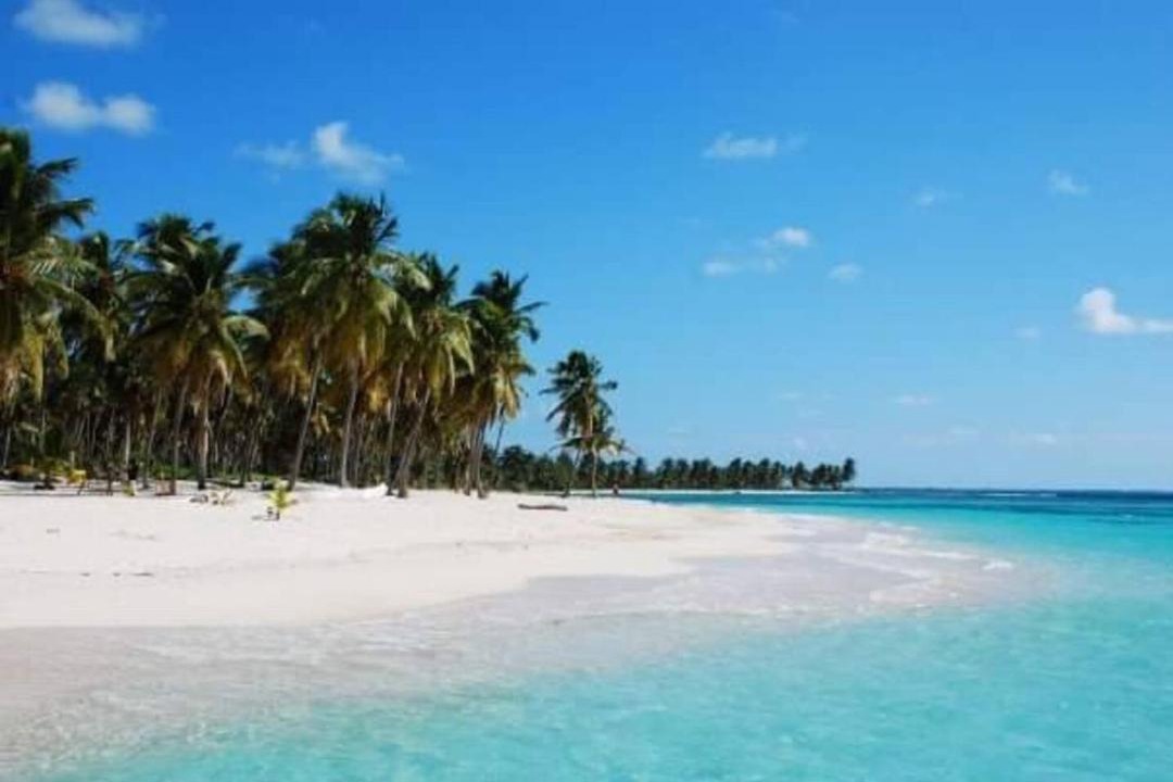 Photo of Others in Dominicus