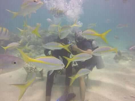 Photo of Others in Playa Bibijagua