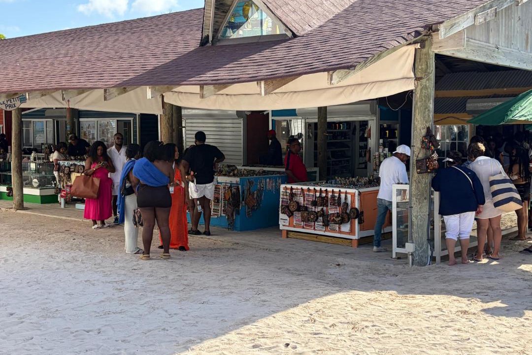 Photo of Others in Playa Bibijagua