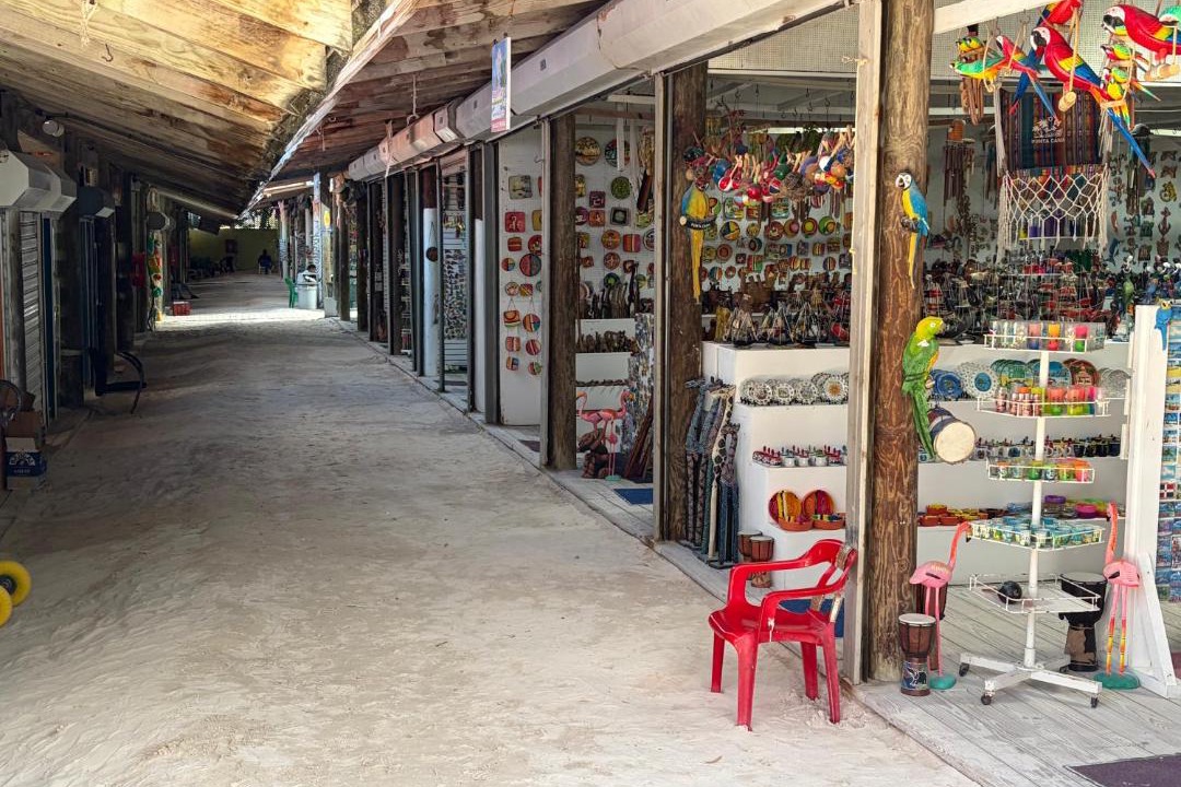Photo of Others in Playa Bibijagua