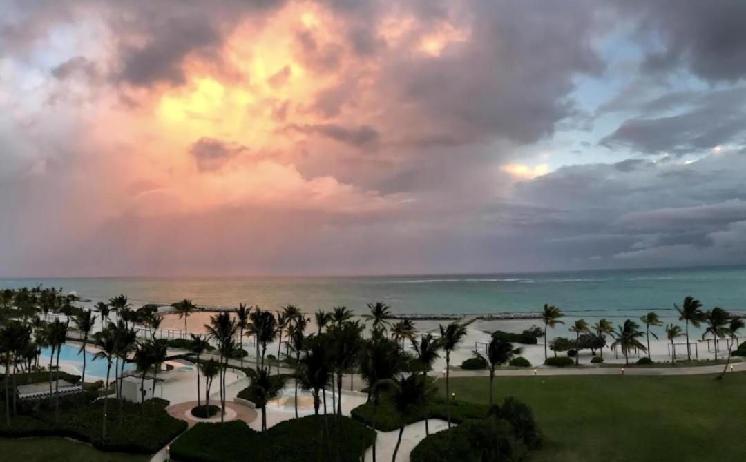 Photo of Others in Cap Cana Marina
