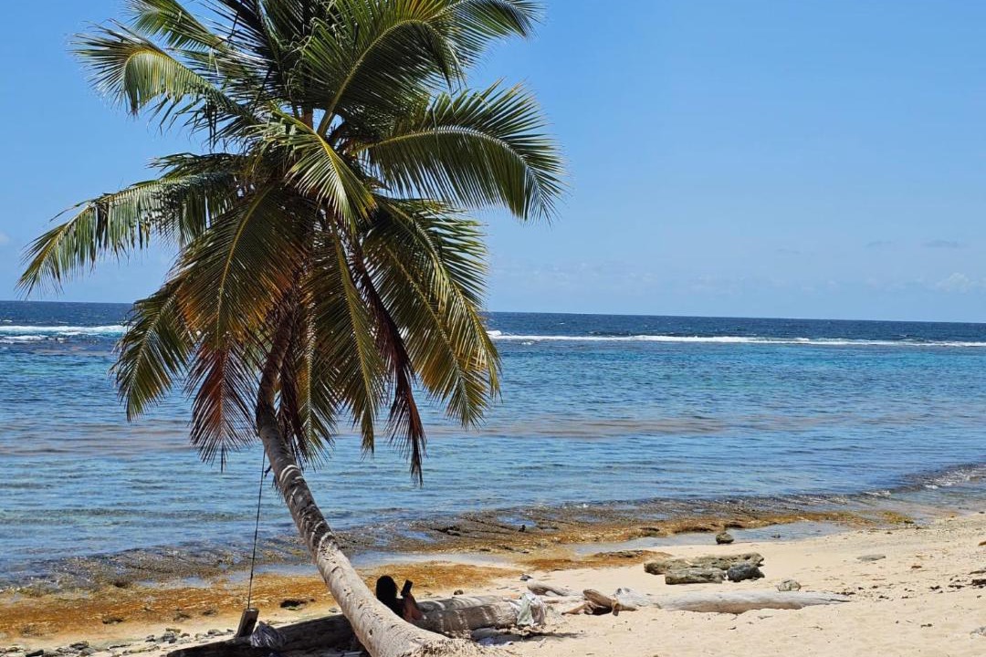 Photo of Others in Samana