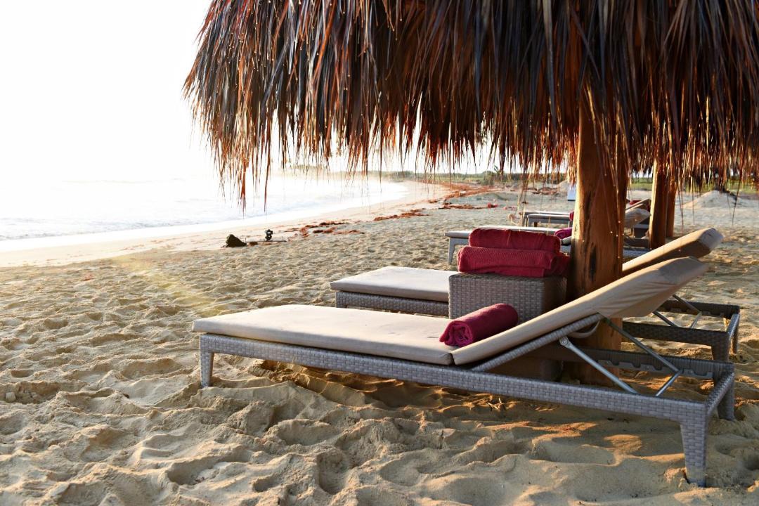 Photo of Others in Punta Cana