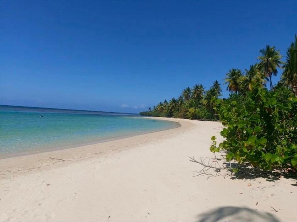 Photo of Others in Las Terrenas