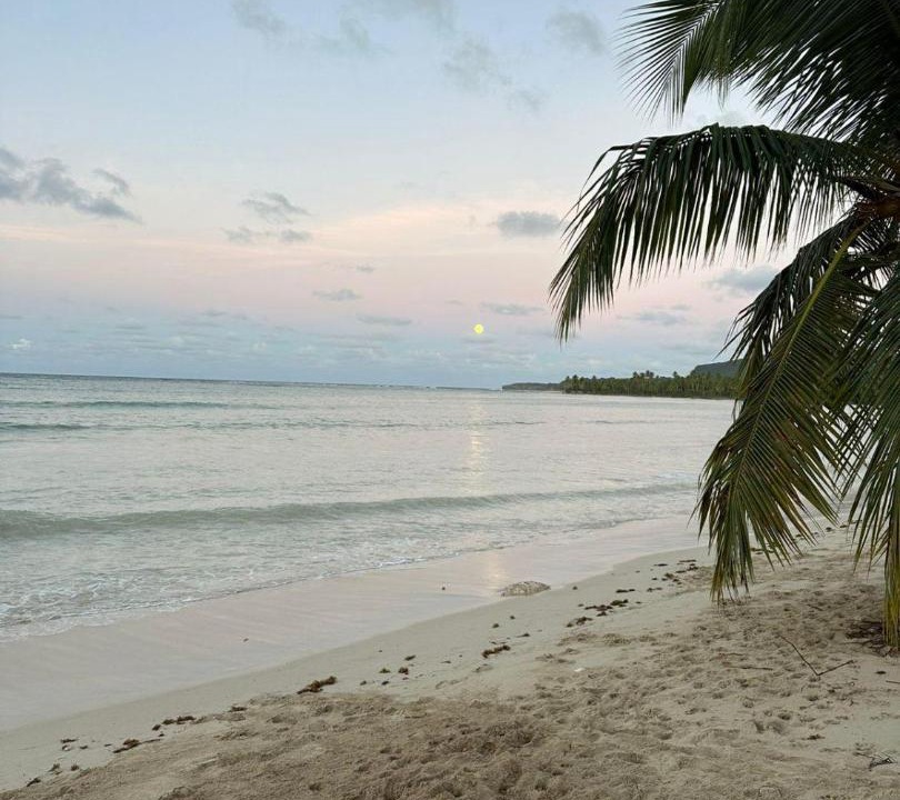 Photo of Others in Las Galeras