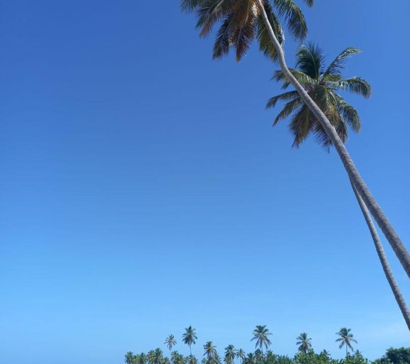 Photo of Others in Las Galeras