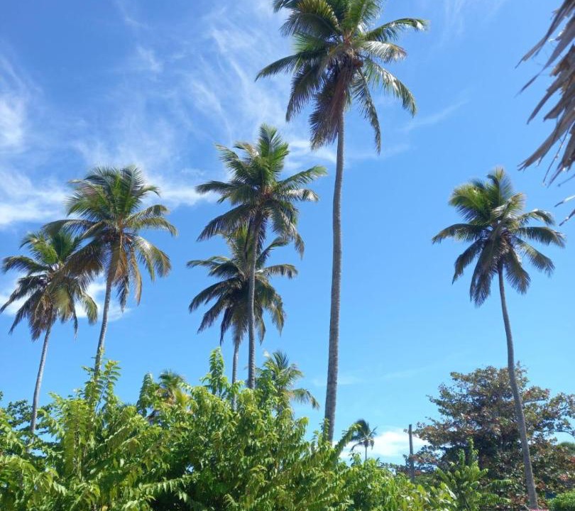 Photo of Others in Las Galeras