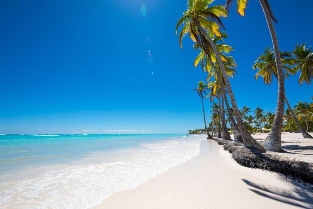 Photo of Others in Punta Cana