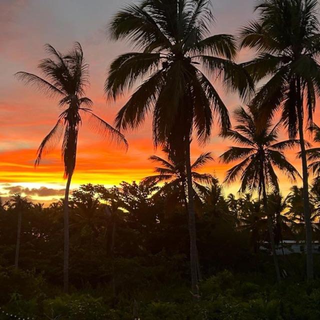Photo of Others in Las Galeras