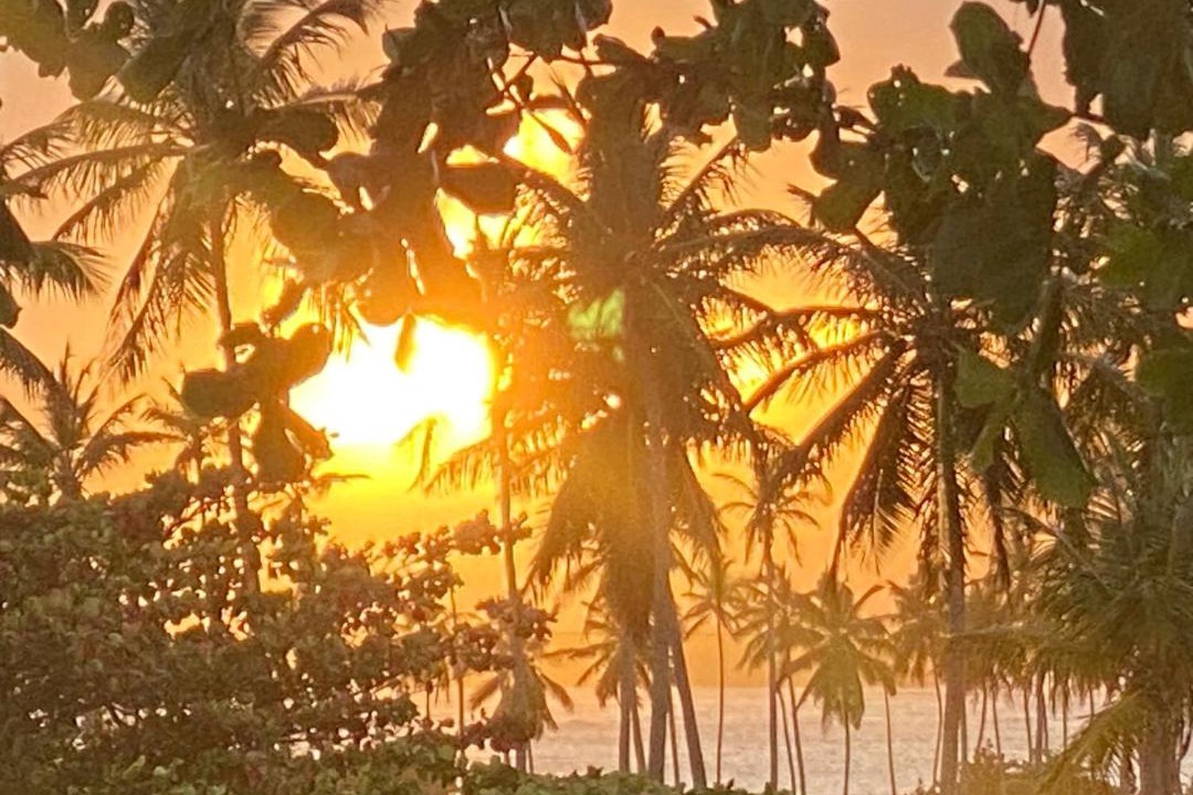 Photo of Others in Las Galeras