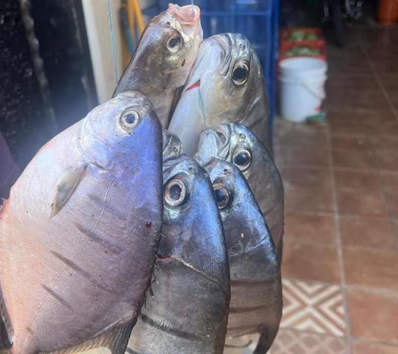 Photo of Others in Las Galeras