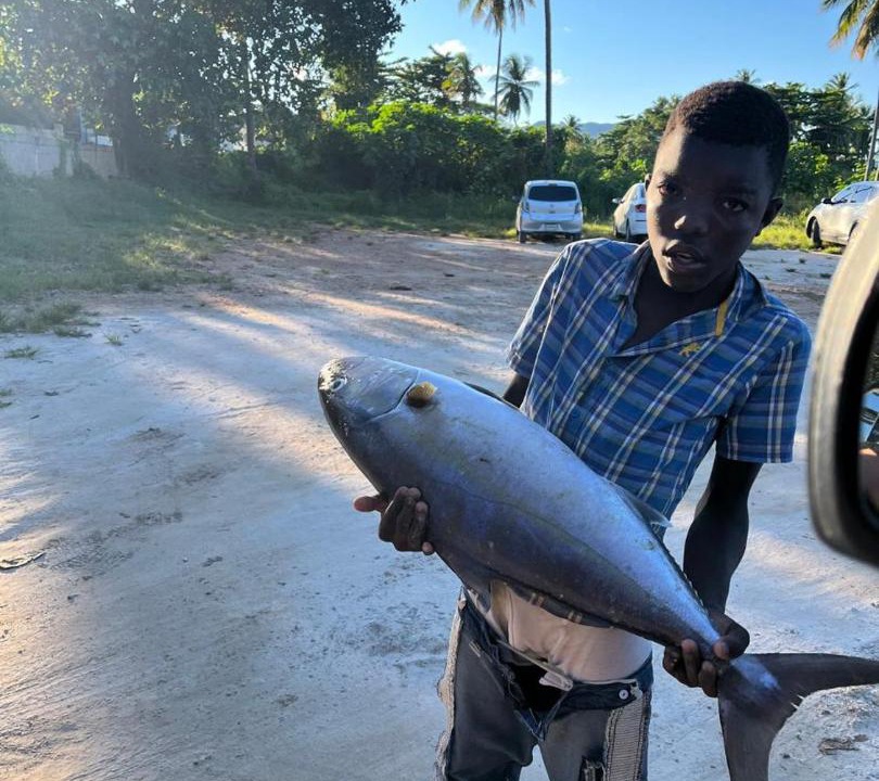 Photo of Others in Las Galeras