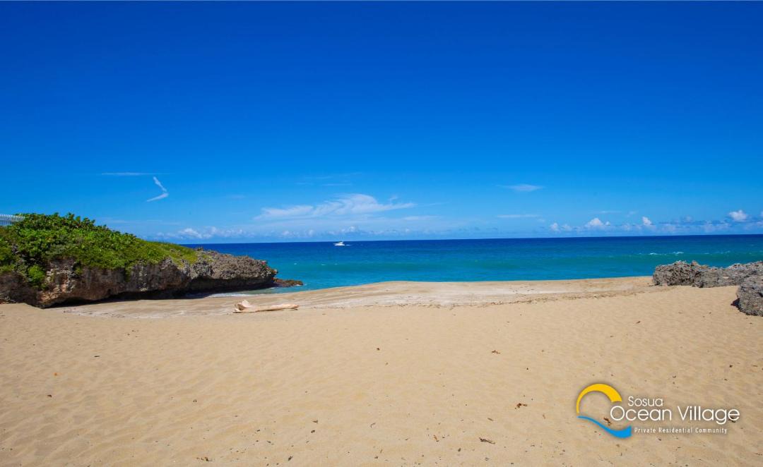 Photo of Others in Playa Chiquita