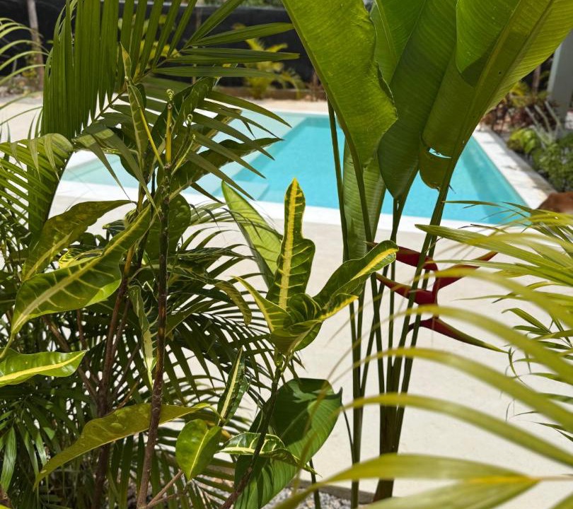 Photo of Others in Las Terrenas
