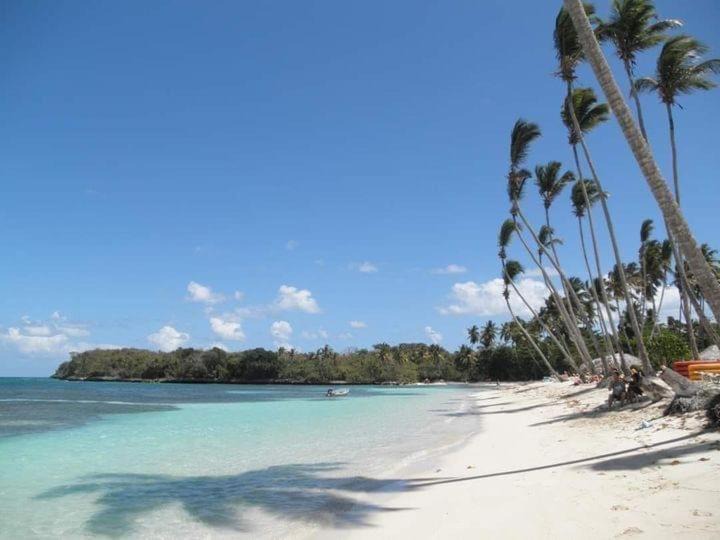 Photo of Others in Las Galeras