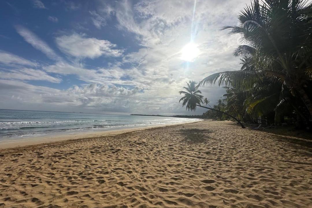 Photo of Others in Las Terrenas