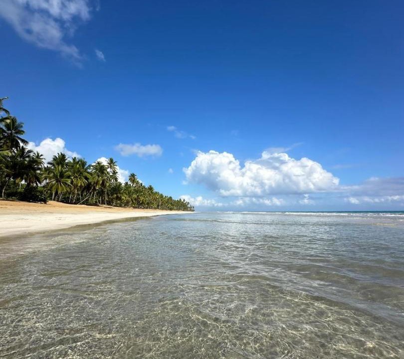 Photo of Others in Las Terrenas