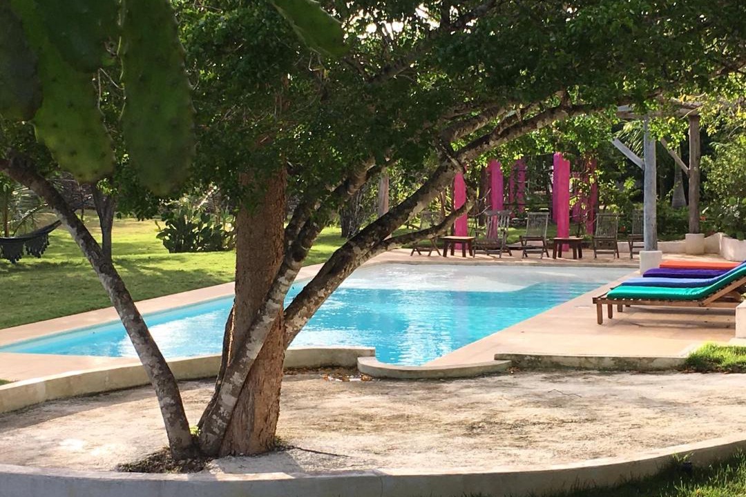 Photo of Others in Bayahibe